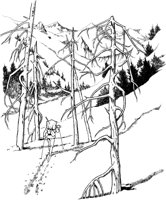 NPC057A.TIF