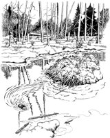 NPC055A.TIF