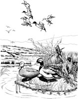 NPC052A.TIF