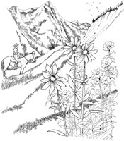 NPC049A.TIF