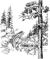 NPC048A.TIF