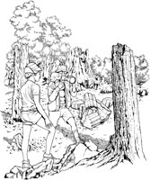 NPC047A.TIF