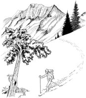 NPC045A.TIF