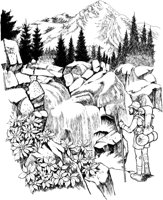 NPC044A.TIF