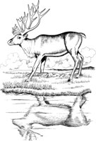 NPC039A.TIF