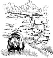 NPC038A.TIF