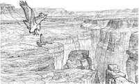 NPC032A.TIF