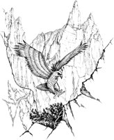 NPC027A.TIF