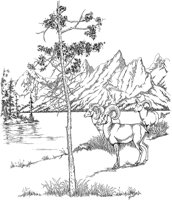 NPC026A.TIF