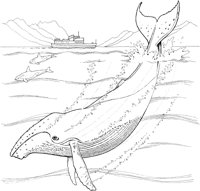 NPC025A.TIF
