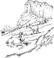 NPC024A.TIF