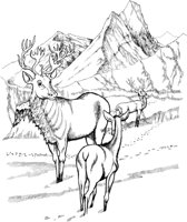 NPC023A.TIF