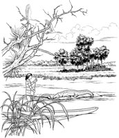 NPC022A.TIF