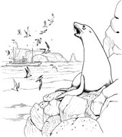 NPC019A.TIF