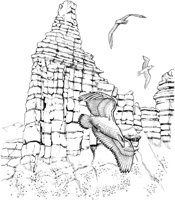 NPC017A.TIF