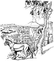 NPC015A.TIF