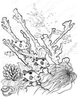 NPC014A.TIF