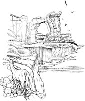NPC011A.TIF