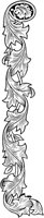 MOD031A.TIF