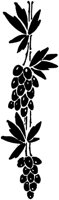 MOD030C.TIF