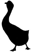 OFS032K.TIF