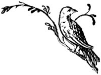 OEC058F.TIF