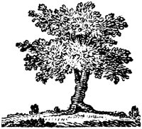 OEC056E.TIF