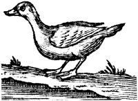 OEC052D.TIF