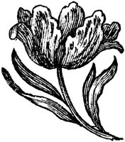 OEC051D.TIF