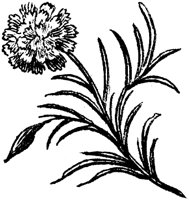 OEC049D.TIF