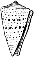 NAU030L.TIF