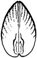 NAU030G.TIF