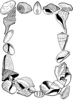 NAU021A.TIF