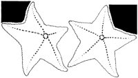 NAU018C.TIF