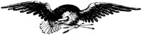 OPT022L.TIF