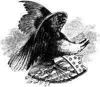 OPT015E.TIF