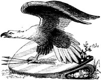 OPT002H.TIF