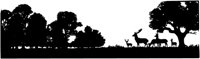 OFS041J.TIF