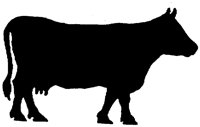 SMR016G.TIF