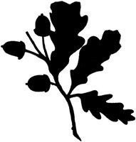 SMR015E.TIF