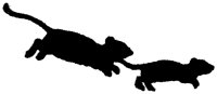SMR011G.TIF
