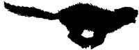 SMR011A.TIF