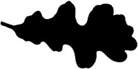 SLH133C.TIF