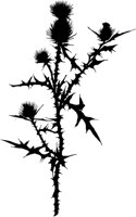 SLH132D.TIF