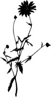 SLH132A.TIF