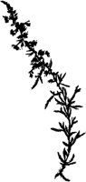 SLH130E.TIF