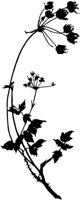 SLH128E.TIF