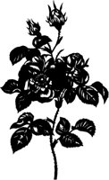 SLH128D.TIF
