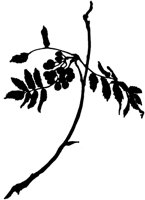 SLH128B.TIF