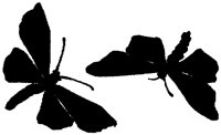 SLH113G.TIF